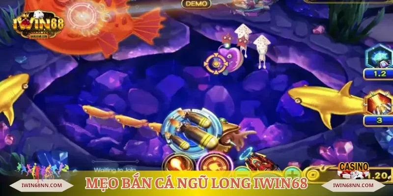 Mẹo bắn cá ngũ long Iwin68 nên áp dụng